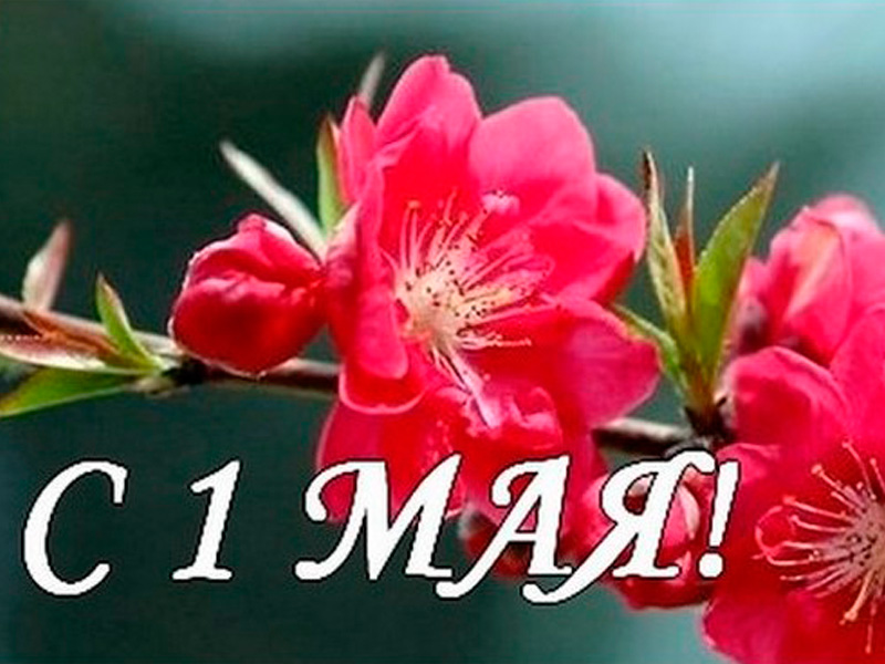1 мая